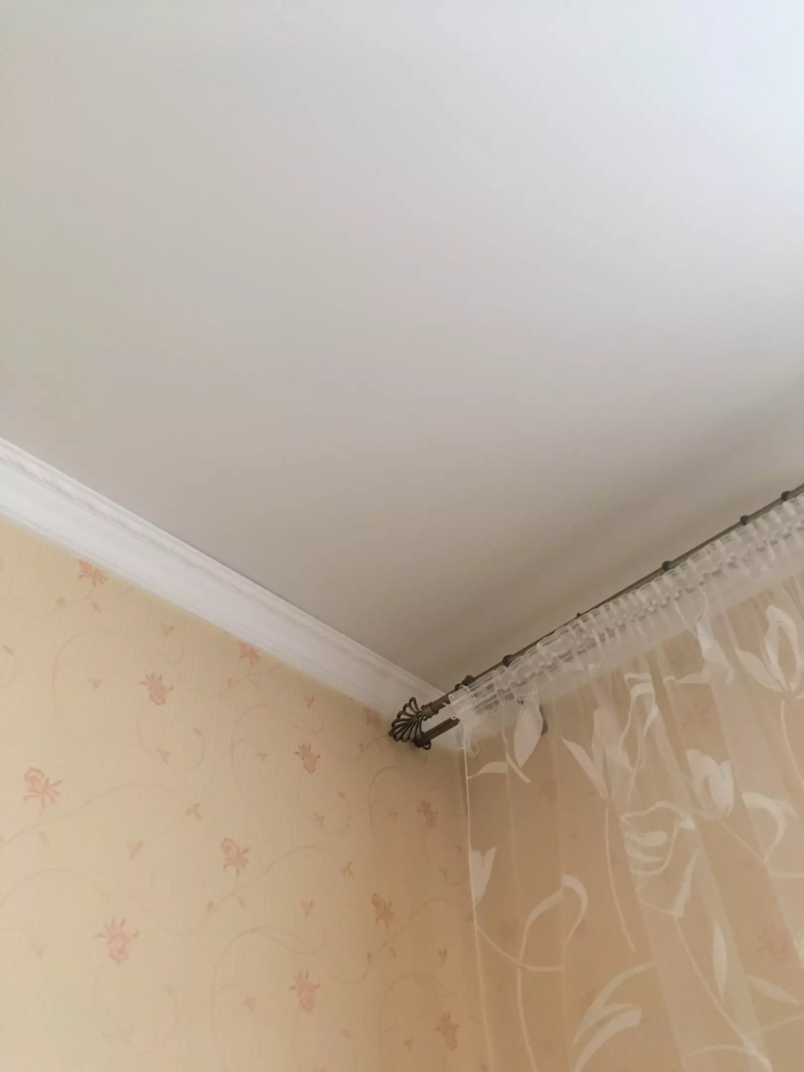 Калининград, Старшины Дадаева, 5, фото 1