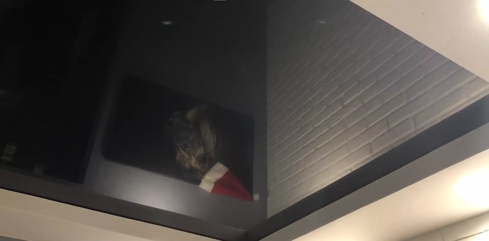 Калининград, Дзержинского, 79 к9, фото 3