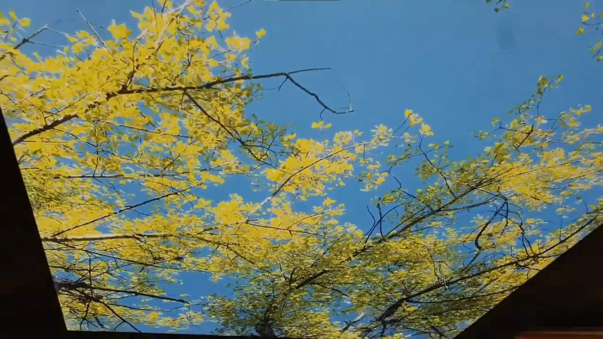 Калининград, Согласия, 44, фото 2